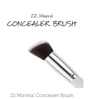 Zz Mineral Concealer Brush